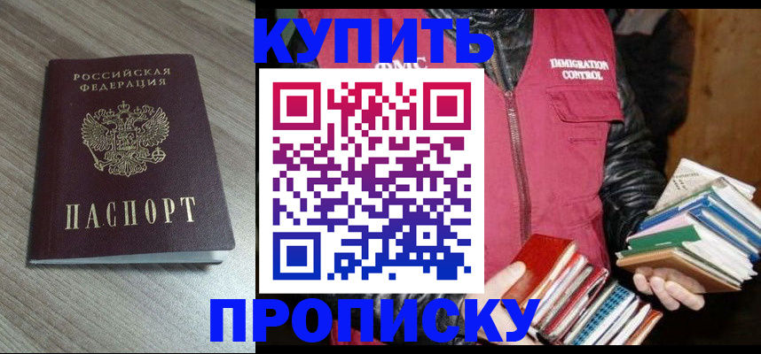 прописка 2025 в Тайге